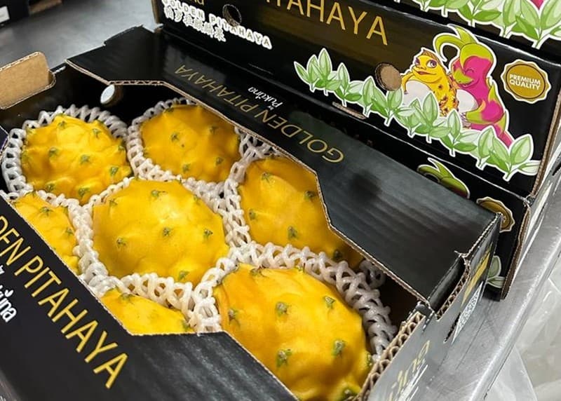 images/1692778373908Fruta del dragón vietnamita.jpg
